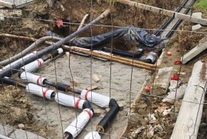 Fot. Karina Płaszczyca