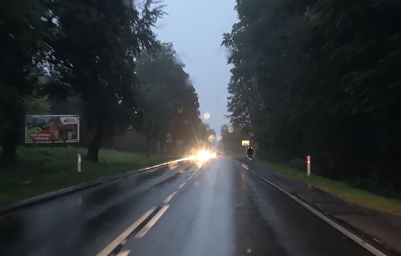 Fot. Karina Płaszczyca