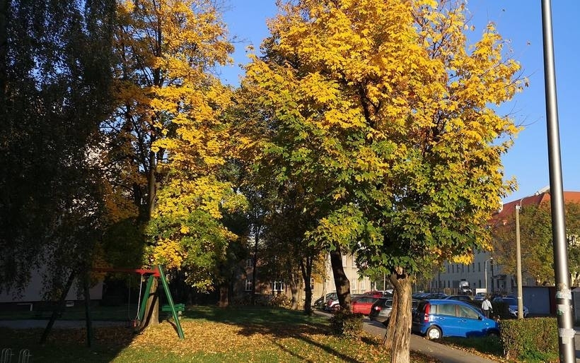 Fot. Karina Płaszczyca