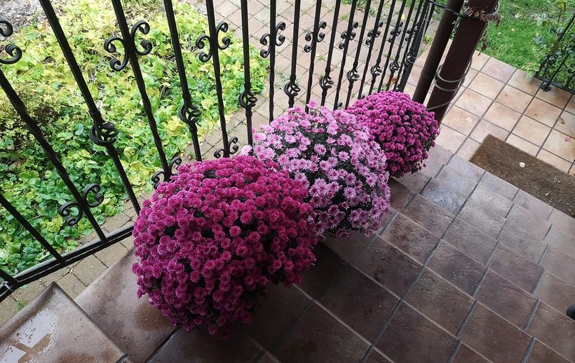 Fot. Marcin Gładysz