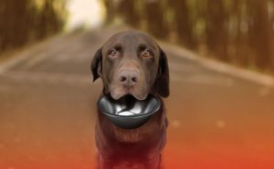 Fot. nadesłane przez organizatora