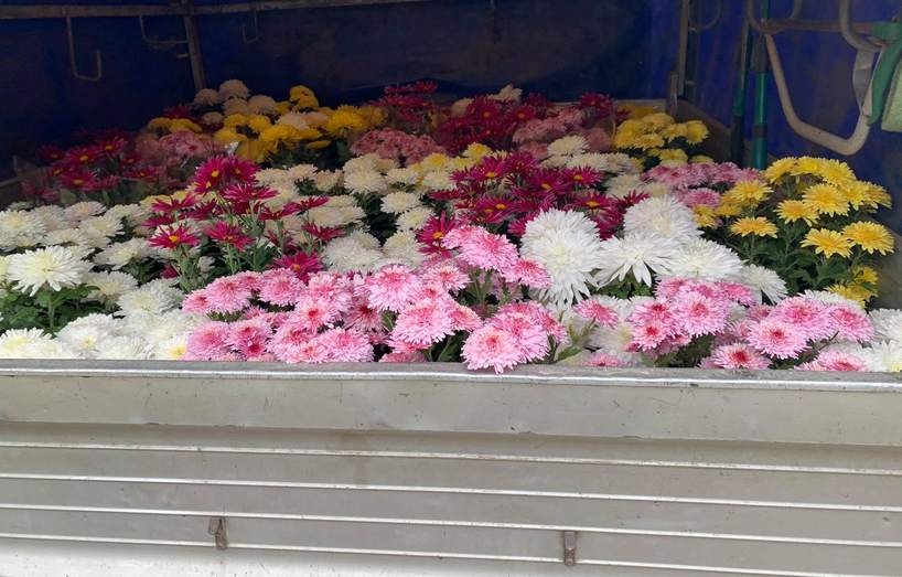 Fot. Facebook/Gmina Stryszów