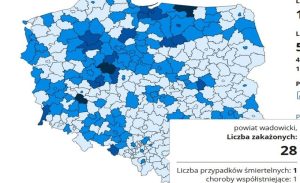 Fot. screen z gov.pl