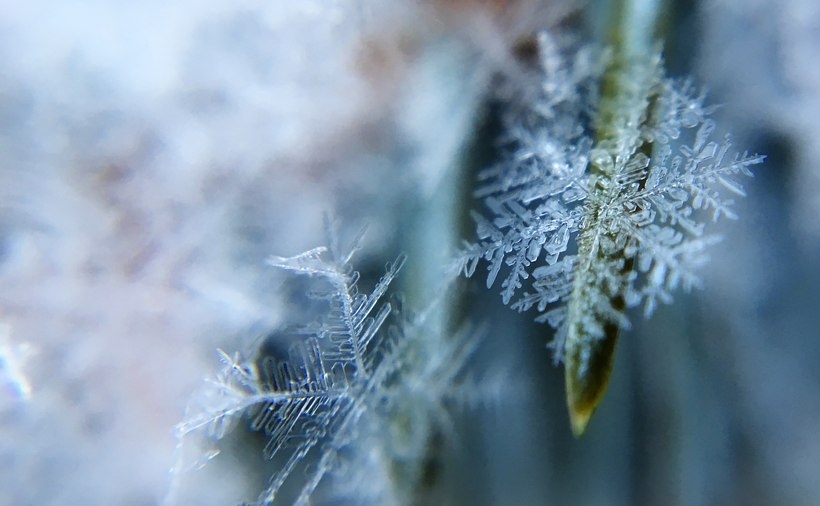 Fot. materiał promocyjny reklamodawcy