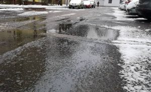 Fot. Karina Płaszczyca