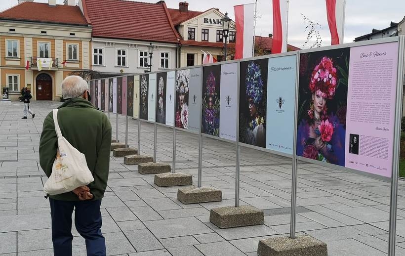 Fot. Karina Płaszczyca