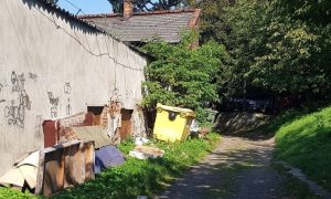 Fot. Karina Płaszczyca