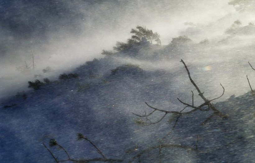 Fot. Tatrzański Park Narodowy