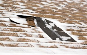 Fot. materiał promocyjny reklamodawcy