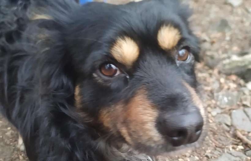 Fot. Facebook/GOPR Beskidy