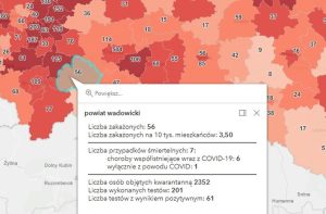 Fot. screen z gov.pl