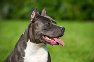 Fot. materiał prasowy reklamodawcy