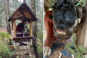 Fot. A. Pąprowicz, WUOZ