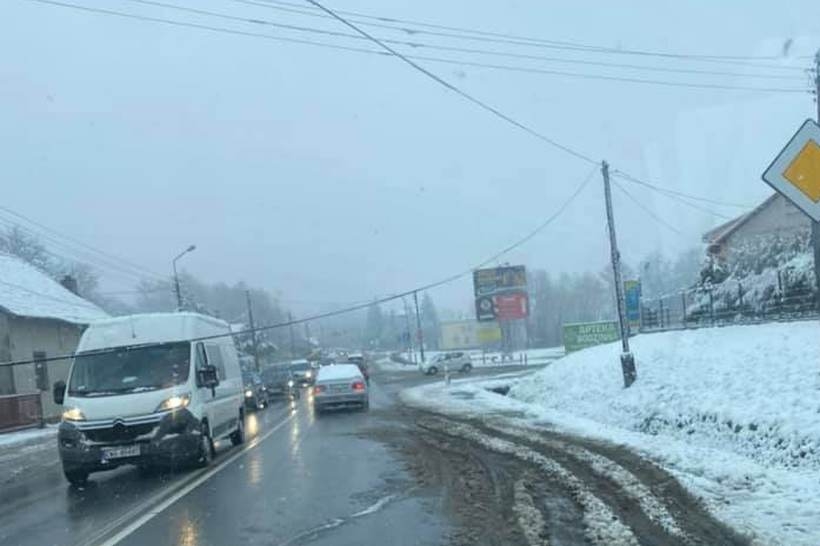 Fot. Facebook/ Patrole, Wypadki, Suszarki.../ Nikodem