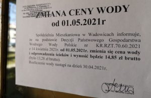 Fot. Karina Płaszczyca