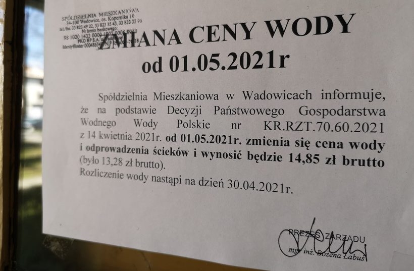 Fot. Karina Płaszczyca