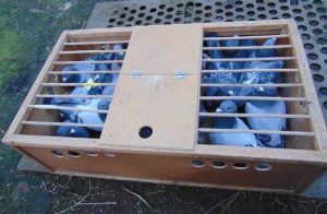 Fot. Archiwum KPP Wadowice