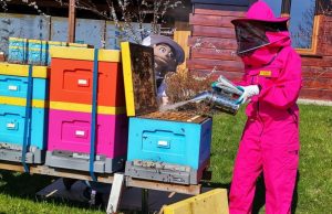 Fot. materiał prasowy