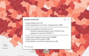 Fot. screen ze strony gov.pl