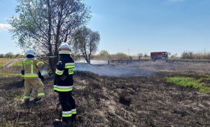 Fot. Facebook/ OSP Zator