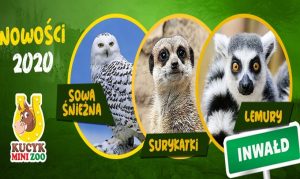 Fot. materiał prasowy reklamodawcy