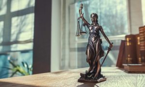 Fot. materiał prasowy reklamodawcy