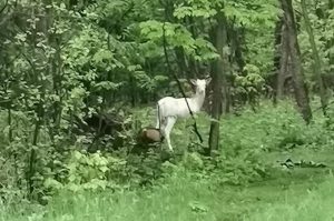 Fot. nadesłane #dlawadowice24