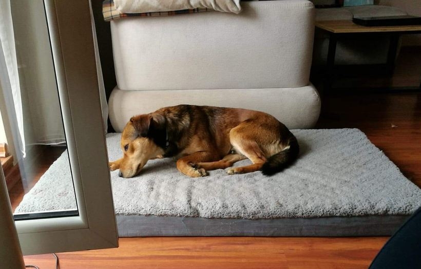 Fot. Facebook/ Anna Konopka-Wolanin