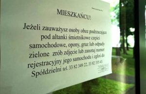 Fot. Karina Płaszczyca