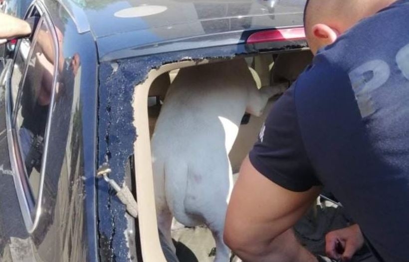 Fot. Facebook/ Małopolska Policja