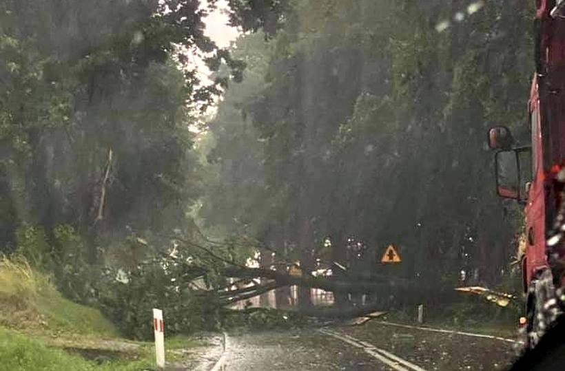 Fot. Facebook/Patrole, Suszarki, Wypadki.../Wiktoria