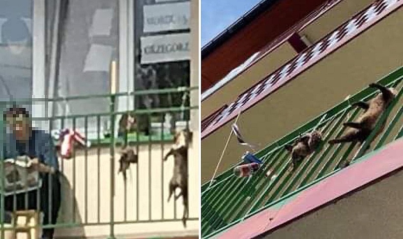 Fot. Nadesłane #DlaWadowice24