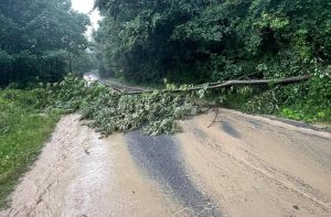 Fot. Facebook/ OSP Łękawica