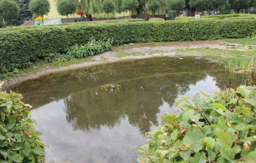 Fot. Nowiny Andrychowskie