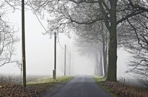 Fot. materiał promocyjny reklamodawcy