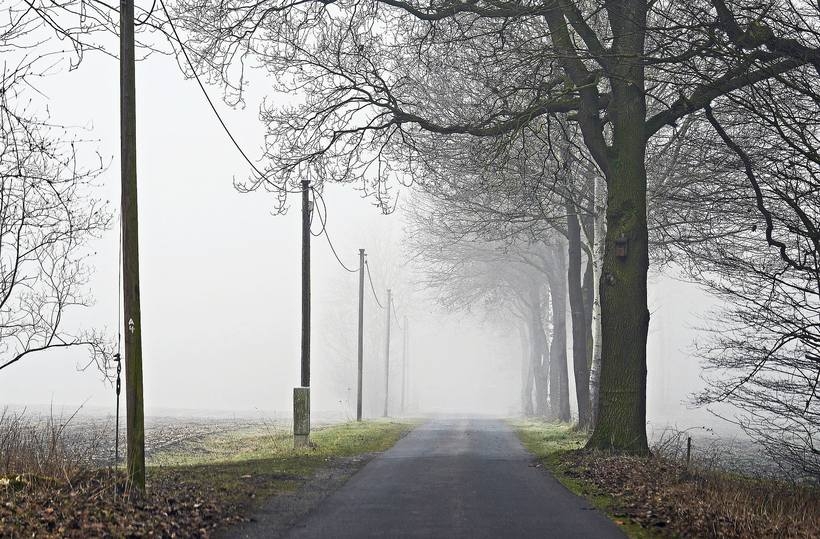 Fot. materiał promocyjny reklamodawcy