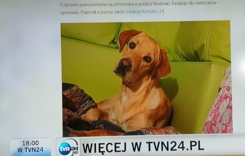 Fot. kadr z telewizji