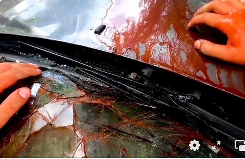 Fot. kadr z filmu facebook/ Służby w akcji