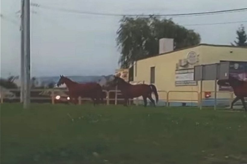 Fot. kadr z filmiku na Facebook/ Patrole, wypadki, suszarki