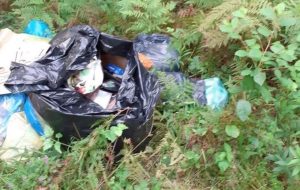 Fot. materiał prasowy