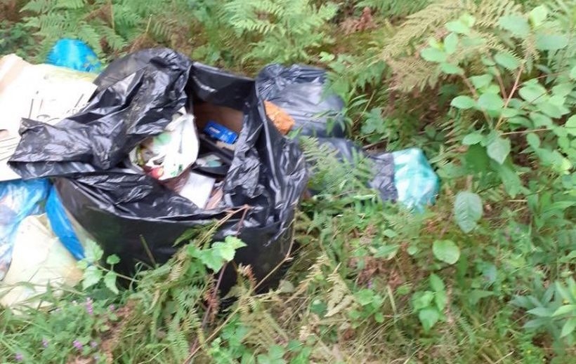 Fot. materiał prasowy