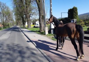 Fot. Małopolska Policja