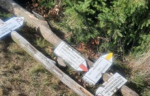 Fot. Materiał prasowy Nowiny Andrychowskie