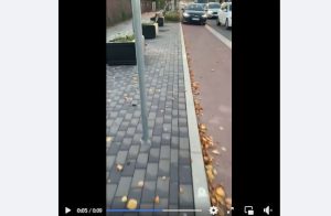 Fot. Facebook/ Kadr z filmu