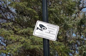 Fot. Karina Płaszczyca