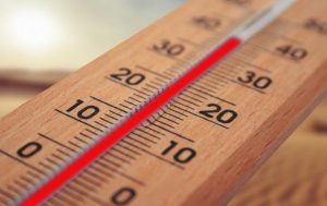 Fot. materiał prasowy reklamodawcy