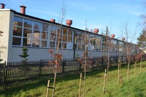 Fot. materiał prasowy