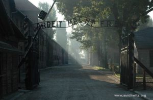 Fot. materiały prasowe KPP Oświęcim