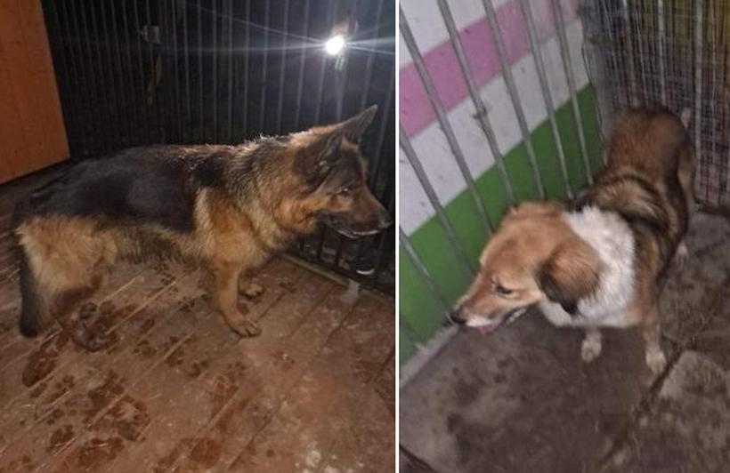 Fot. Facebook/ Wadowice tu wszystko się zaczęło