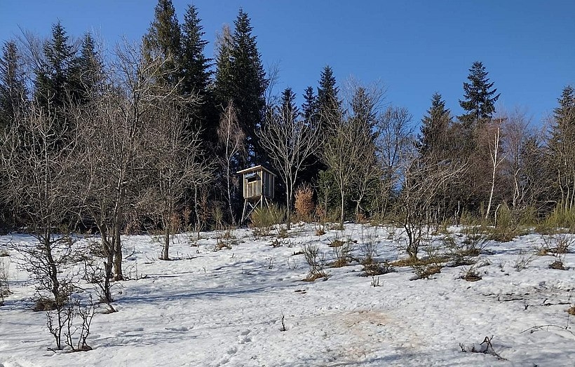 Fot. Krakowski Ruch Antyłowiecki